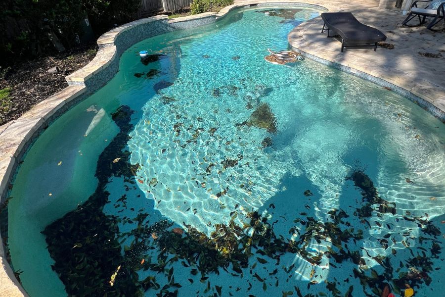 dirty pool that needs sugar land pool service